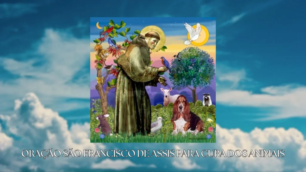 oração são francisco de assis cura dos animais